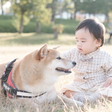 高夏写真店が出張撮影した「家族写真の撮影」の家族写真