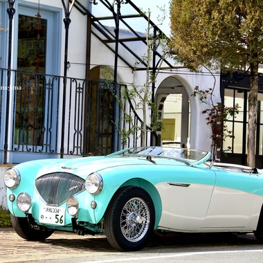 TSD officeが撮影した「愛車撮影」の写真