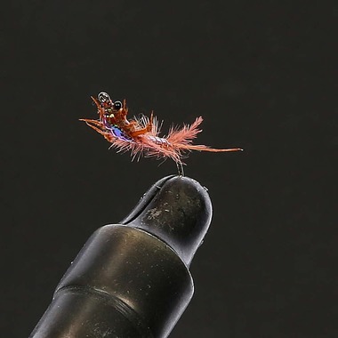 赤木写真事務所（代表　赤木武博）が撮影した「オブジェクトVR (360°フォト）建築　竣工　料理　ビジネスシーン」の写真