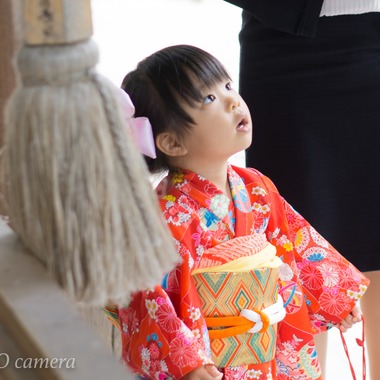 出張撮影サービス　kuro NICO cameraが撮影した「3歳女の子＊七五三＠静岡」の写真
