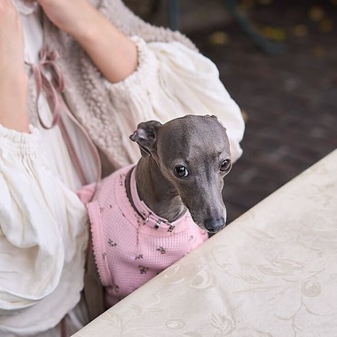 Actが撮影した「愛犬とのカップルフォト」の写真