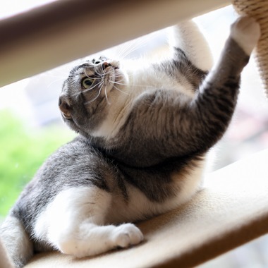 （有）カラーフィールドが撮影した「広告用撮影」の写真