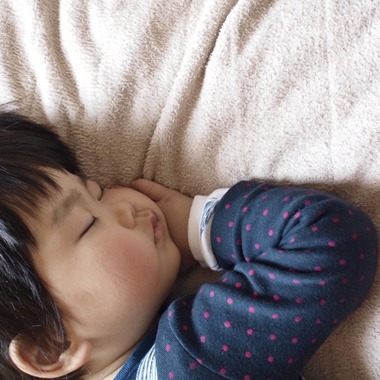 杉浦 ケンドウが撮影した「家族写真」の写真