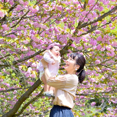 Design studio lumière（井上 敦仁）が撮影した「みんなでピクニック」の写真