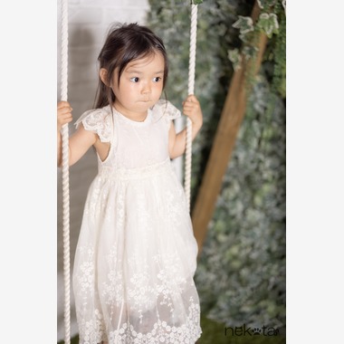 猫田晃広が撮影した「家族写真」の写真