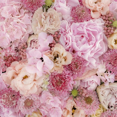 佐藤 葵が撮影した「広報用商品撮影」の写真