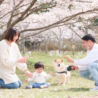 高夏写真店が出張撮影した「家族写真の撮影」の家族写真