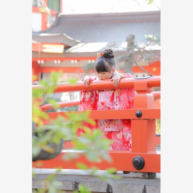 斉藤　ゆか（nico photo)が撮影した「七五三出張」の写真