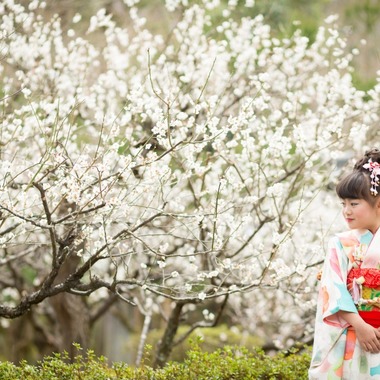 アトリエカーシャが撮影した「七五三」の写真