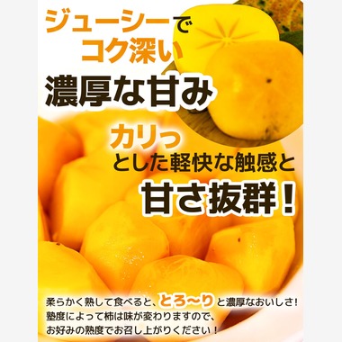 One-axeが撮影した「柿の商品撮影」の写真