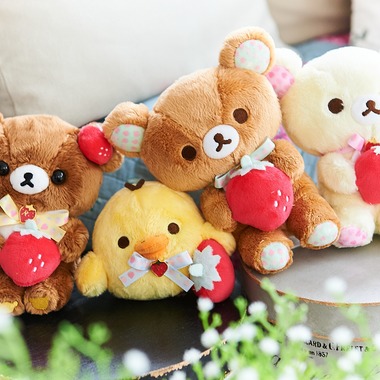 HARASTUDIOが撮影した「商品撮影、モデル撮影、ファッション撮影」の写真