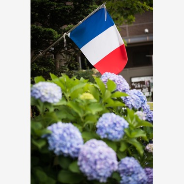 Photo taken by atelier epica/kaz 43zoo - party shot in restrant