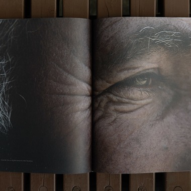 Miki Takashima Photographyが撮影した「Publication」の写真