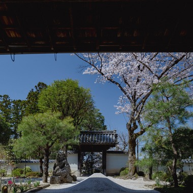 kiharu&photoが撮影した「風景【ロケ撮影】」の写真