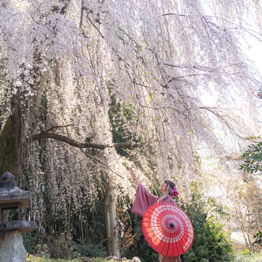 村のくまが撮影した「ポートレート」の写真
