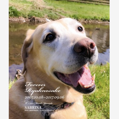 Photo taken by Studio SABRINA  スタジオ サブリーナ - 