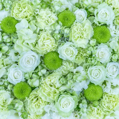 佐藤 葵が撮影した「広報用商品撮影」の写真