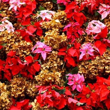 MADoC（佐藤 リトル）が撮影した「東京・代々木VILLAGE」のウェディングフォト