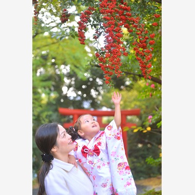 OUTDOOR STUDIOが撮影した「神社、芝公園」の写真