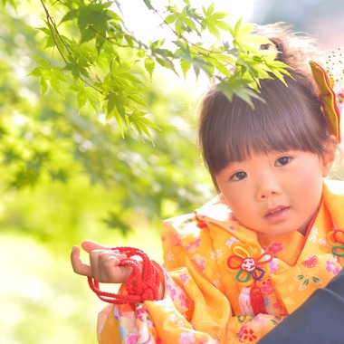 OUTDOOR STUDIOが撮影した「神社、芝公園」の写真