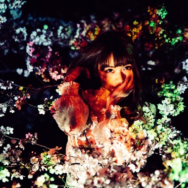 KIRAが撮影した「桜2019」の写真