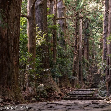 なかむーフォトが撮影した「風景」の写真