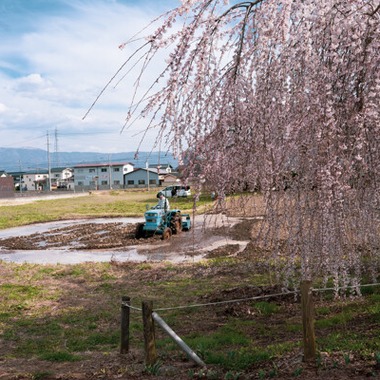 手塚隆弘が撮影した「気ままに」の写真