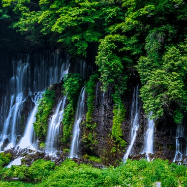 内藤駿介が撮影した「風景」の写真