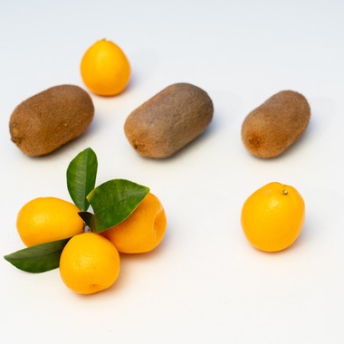 荻原　祐之が撮影した「フルーツ」の写真