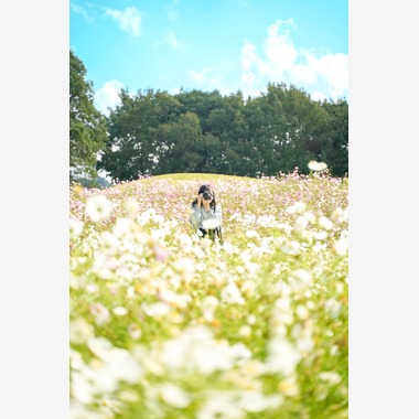 豊澤玲音が撮影した「花畑」の写真