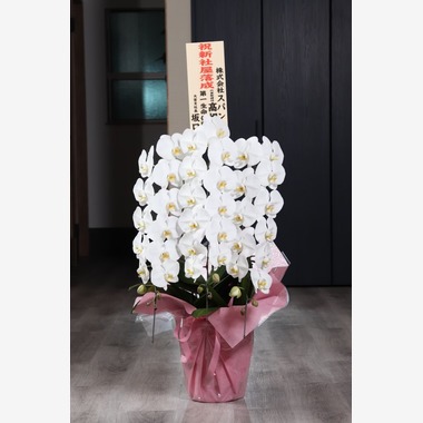 Tory Photo Graphicが撮影した「HP用写真撮影」の写真