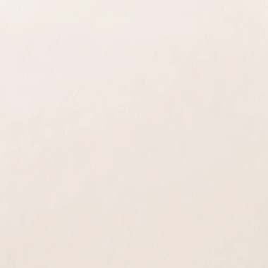 kiharu&photoが撮影した「料理撮影【合成】」の写真