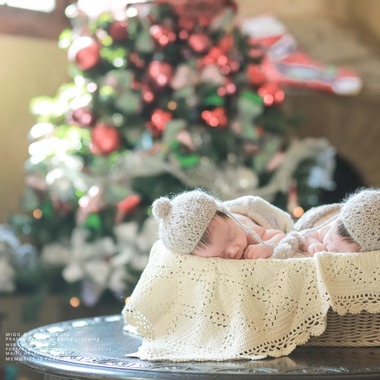 MF STUDIO Migoが撮影した「新しい生まれの写真」の写真