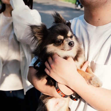 西村ユウトが出張撮影した「ペットとの家族写真」の家族写真