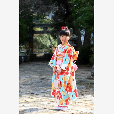 No16photoが撮影した「」の写真