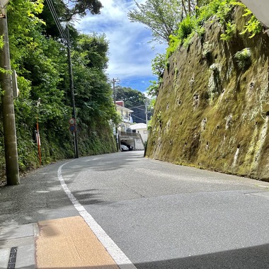 Takeuchi Shunsukeが撮影した「風景等」の写真