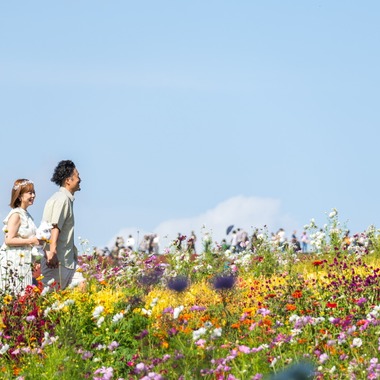 パッチー・クリエイツが撮影した「マタニティフォト（ひたち海浜公園にて）」の写真