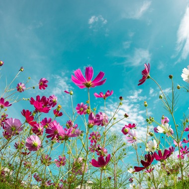 田近　ひとみが撮影した「その他」の写真