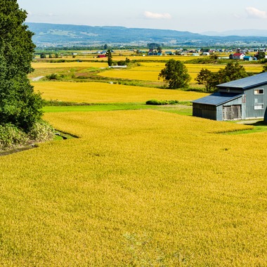 株式会社インターブレインが撮影した「風景」の写真
