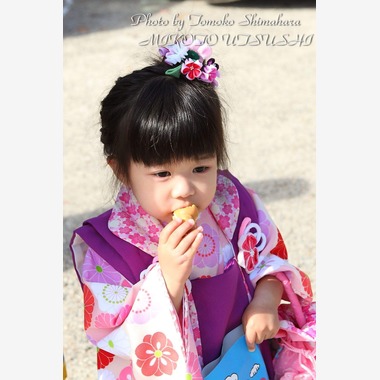 Tomoko Shimaharaが撮影した「七五三撮影」の写真