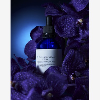 津田野 瑞希が撮影した「物撮り」の写真