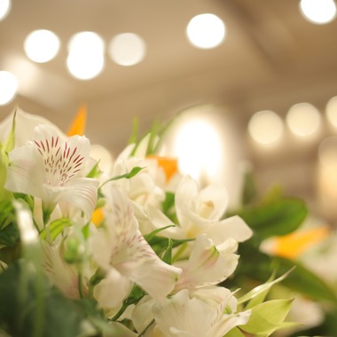 Photographer  Tomoが撮影した「wedding」の写真