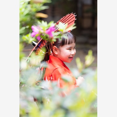 滝絵理香が撮影した「七五三」の写真