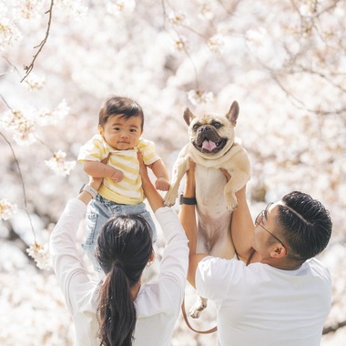大久保佑華が撮影した「ファミリーフォト」の写真