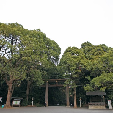 村田わかな広告写真が撮影した「収穫感謝と食の集い」の写真