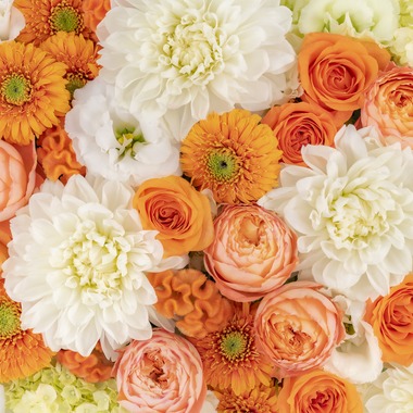 佐藤 葵が撮影した「広報用商品撮影」の写真