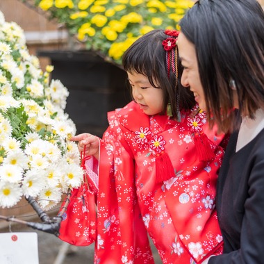 Kanoa Visualsが撮影した「3歳女の子の七五三撮影」の写真