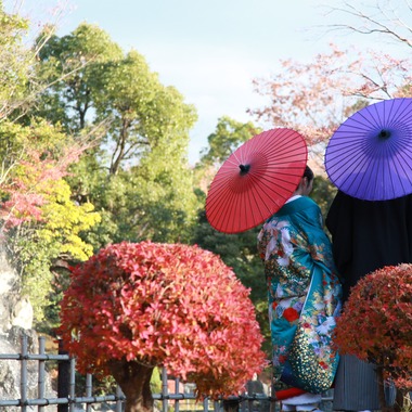 フォトスタジオ　ミルフィーユが撮影した「フォトギャラリー」の写真