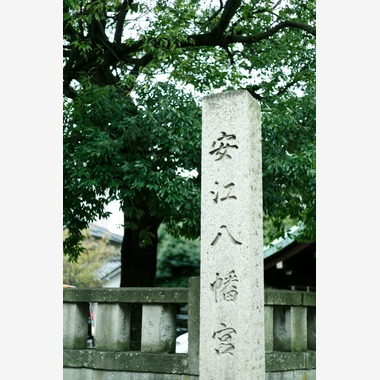 Chihiro Photographyが出張撮影した「五歳男の子七五三Photo」の家族写真