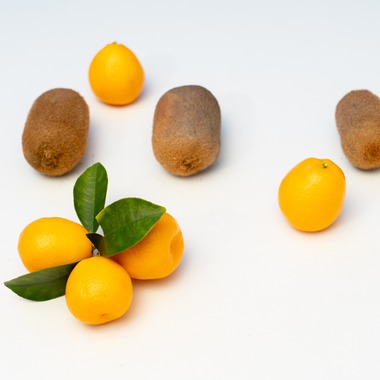 荻原　祐之が撮影した「フルーツ」の写真